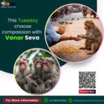 Monkey Care Donation Seva