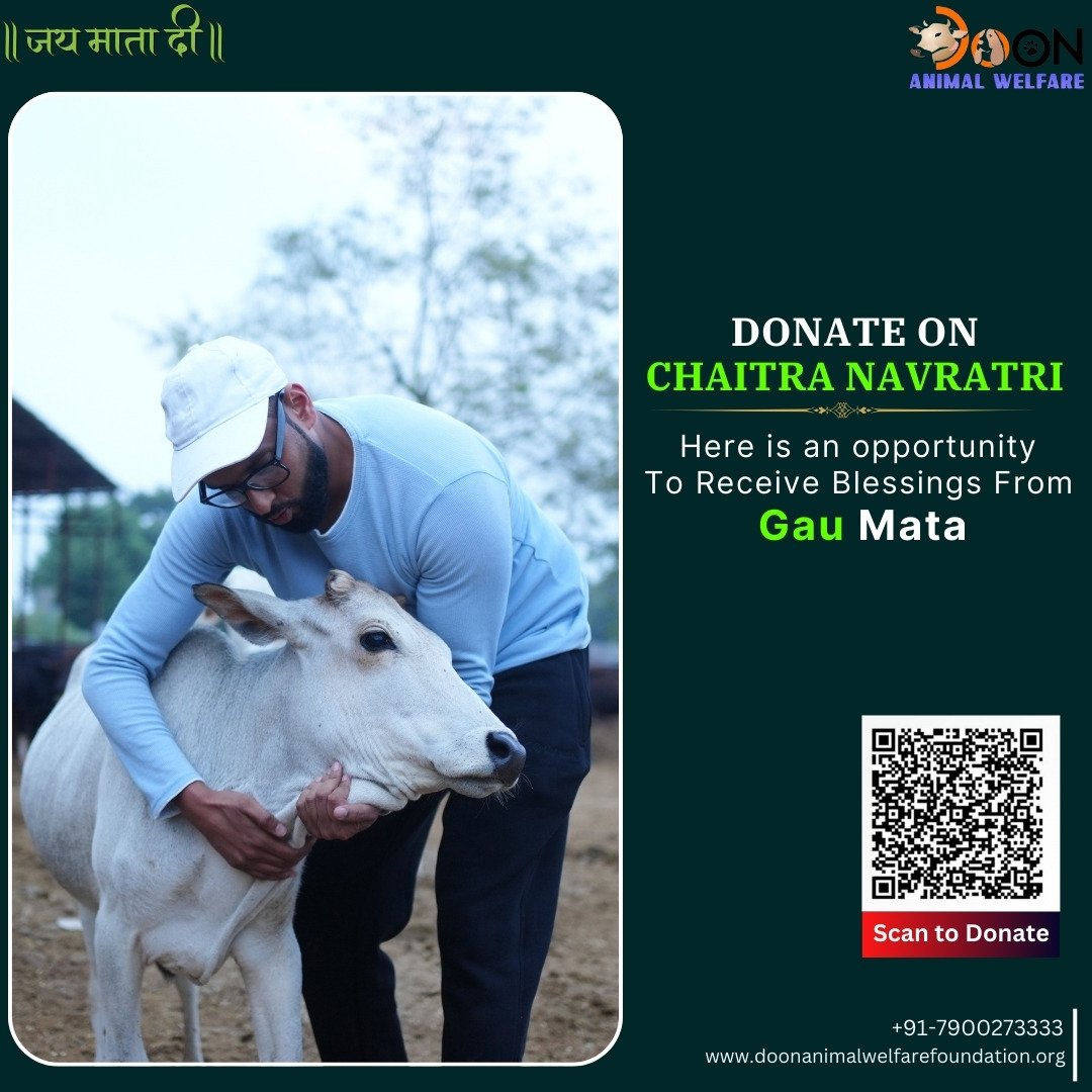 Donate on Chaitra Navratri for cows