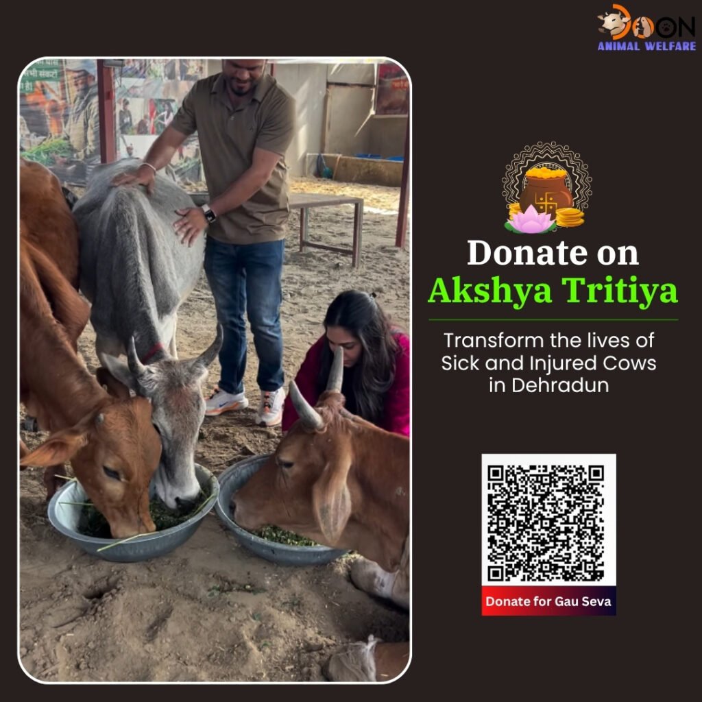 Donate on Akshaya Tritiya