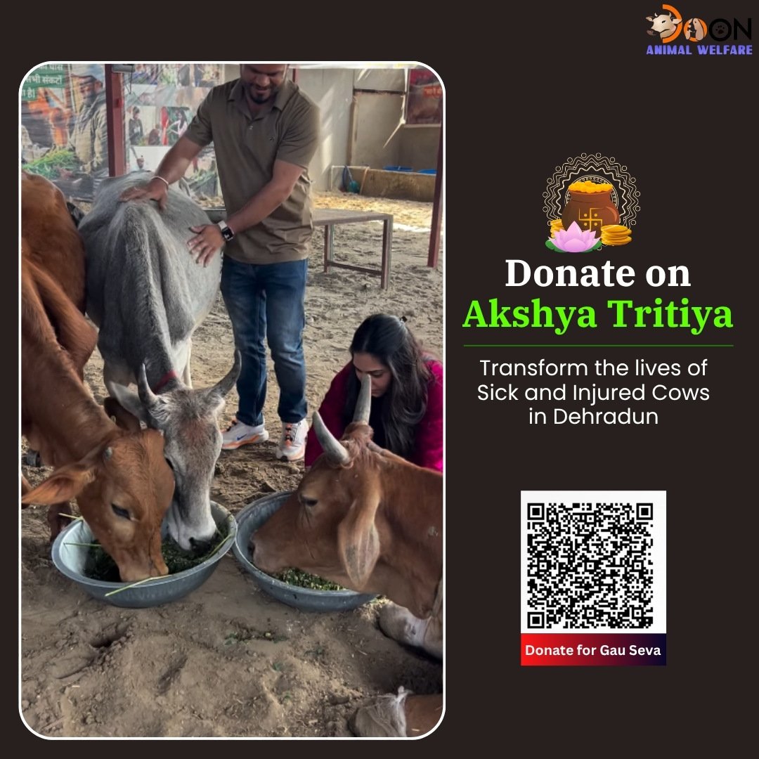 Donate on Akshaya Tritiya