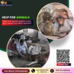 Help for Animals in Dehradun