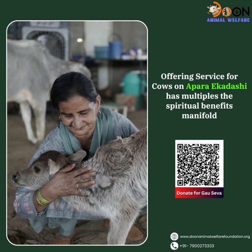 Donate on Apara Ekadashi