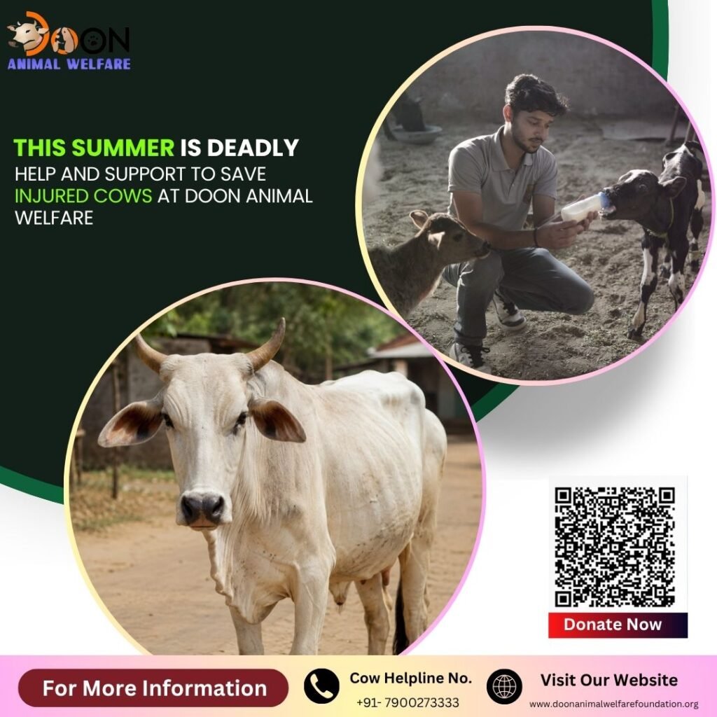 Support Gau Seva