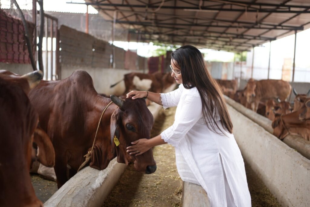 Gau Seva