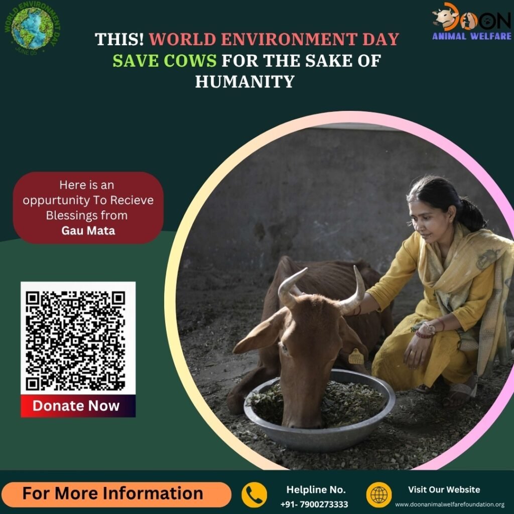 Save Cows Save Nature
