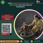Save Cows Save Nature