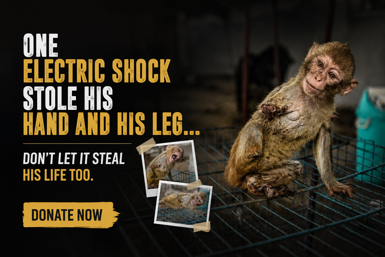 Help Him Live With Dignity After a Life-Changing Electric Shock