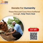 Donate for Humanity