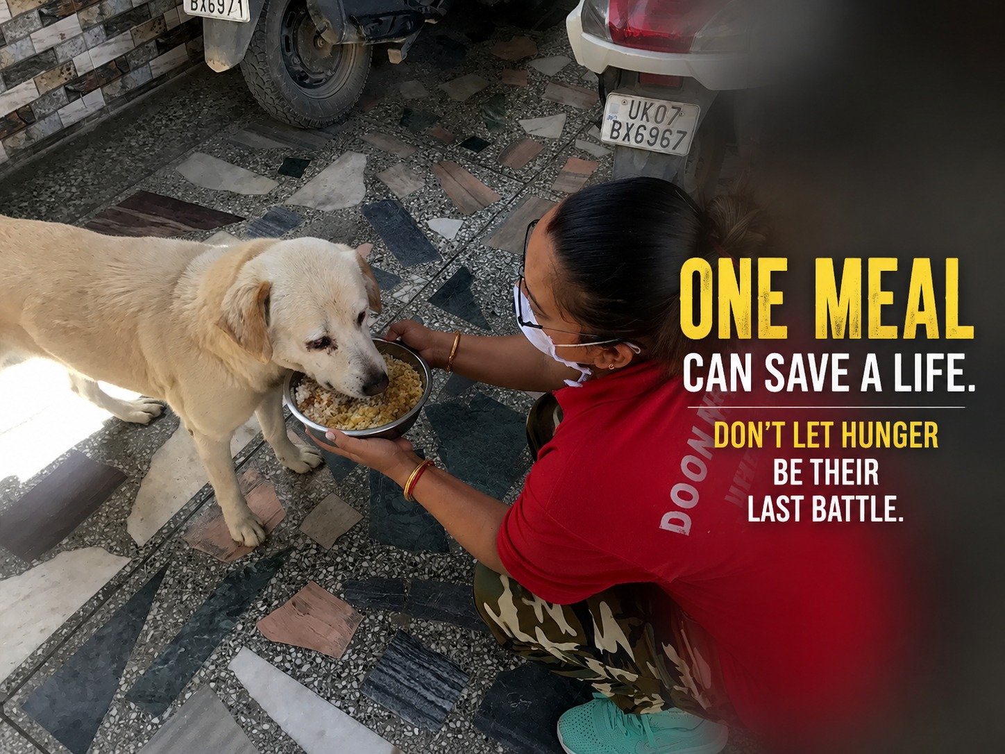 One Meal Can Save a Life
