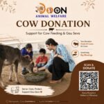 Cow Donation Online