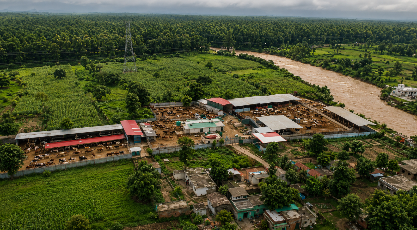 Animal Sanctuary