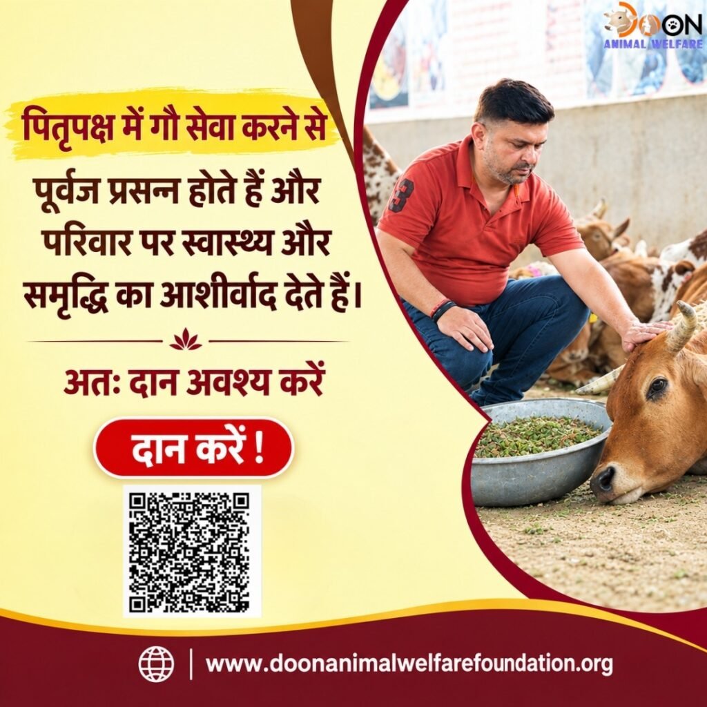 Gau Seva on Pitru Paksha