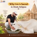 Why Cow is Sacred in Hindu Religion - Doon Animal Welfare