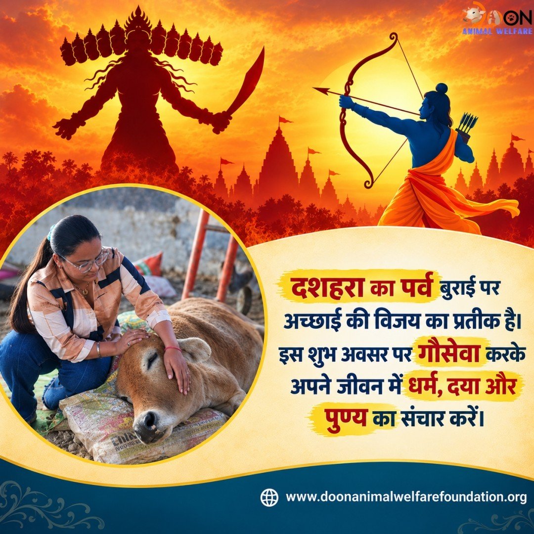 Donate for Cows on Dussehra