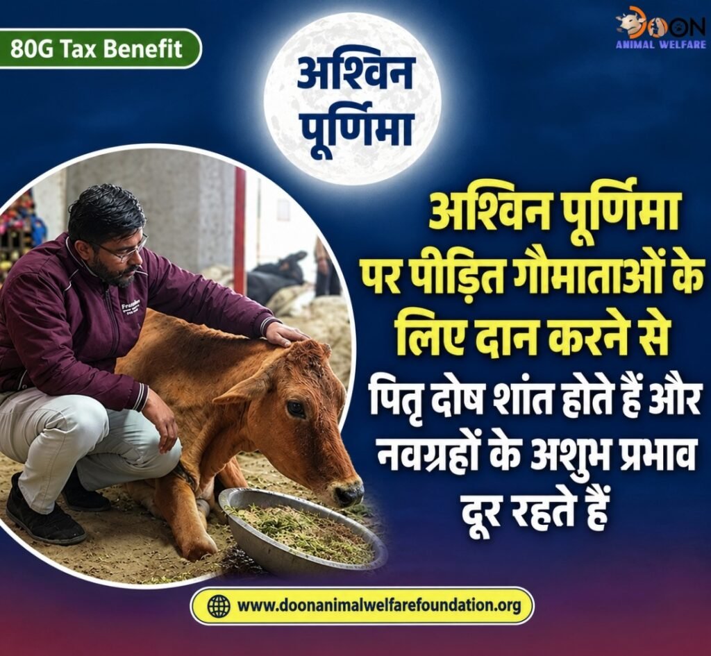 Donate on Ashwina Purnima