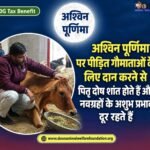 Donate on Ashwina Purnima