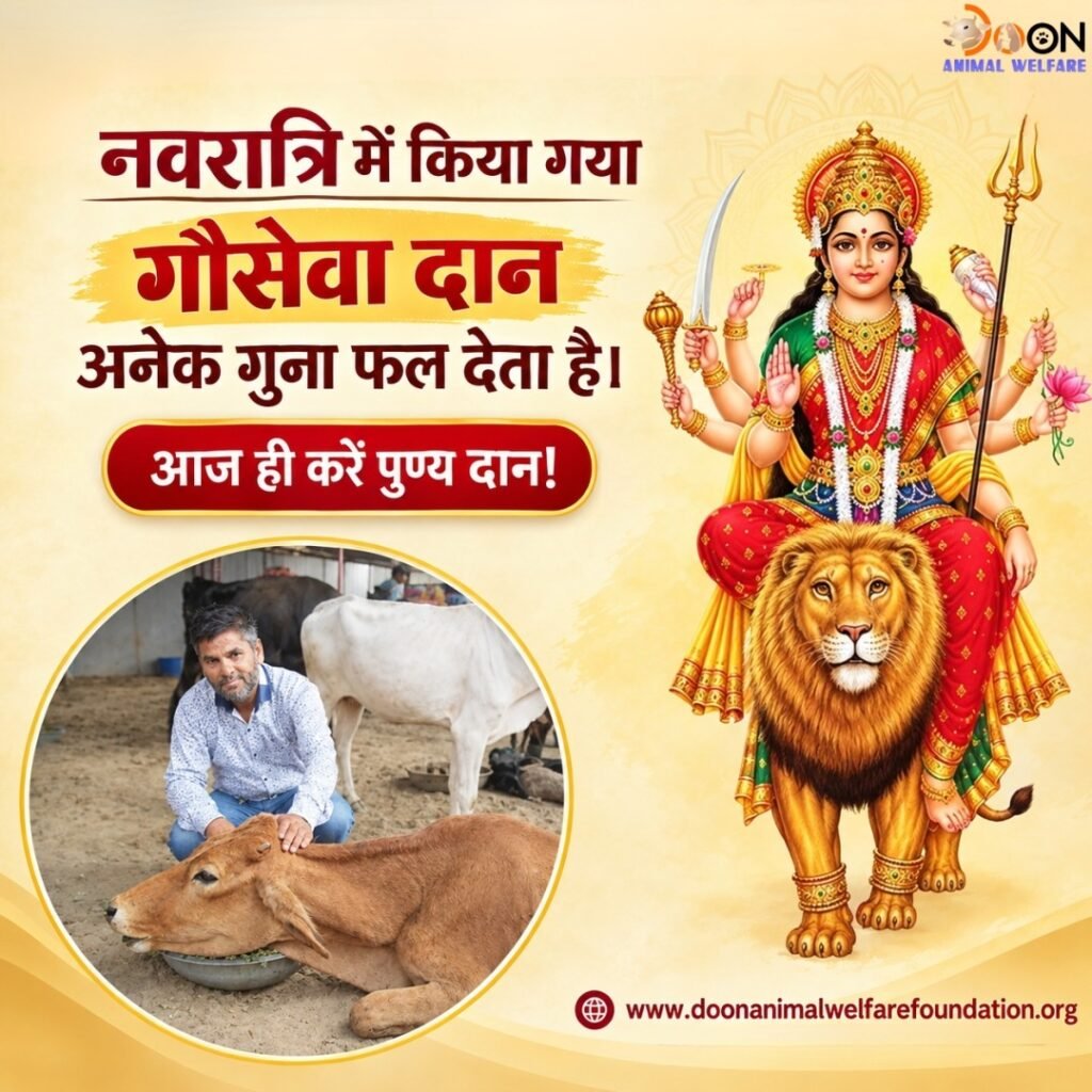 Navratri Gau Seva